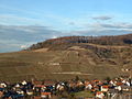 Bohl hill above Ebringen in February 2006: Place of the first day of the Battle of Freiburg in the Thirty Years' War on August 3, 1644