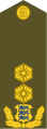 Kindralmajor (Estonian Land Forces)[25]