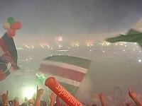 Fluminense's supporters
