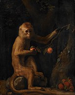 The Monkey (1799), oil on canvas, 70 x 55.9 cm., Walker Art Gallery