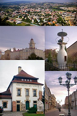 Top: Aerial view of Gorlice; 2nd left: Gorlice City Hall and City Square; 2nd right: A monument of the first timekerosene lamp set place; bottom left: Sztuki Dwor Karwacjanow Gallery in Wroblewskiege; bottom right: Three Maja Street