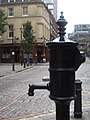 Image 3A pump memorializing John Snow for his study of contaminated water as a likely source of cholera during the 1854 Broad Street Cholera outbreak (from History of cholera)