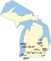 MSAs of Michigan