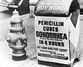 Image 38Penicillin was viewed as a miracle drug that brought enormous profits and public expectations. (from History of biotechnology)