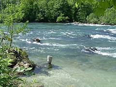 Rapids featuring whitewater, close to the Rhine Falls