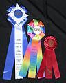A variety of rosette ribbon