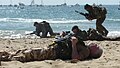 Scene from a simulated Royal Marines beach landing during the 2009 Bournemouth Air Festival; "opposing force" Marine is bareheaded and wears Desert DPM, "blue force" Marines in the background wear berets, camouflage face paint, and woodland DPM.