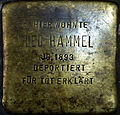 Stolperstein für Leo Hammel (Weyertal 57)