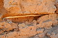 The original ancient gypsum plaster between mud-bricks, Borsippa, Babel, Iraq