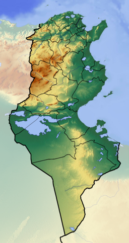 Location of the salt lake in Tunisia.