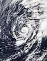 Image 3Subtropical Storm Alex in the north Atlantic Ocean in January 2016 (from Cyclone)