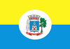 Flag of Santarém (Pará)
