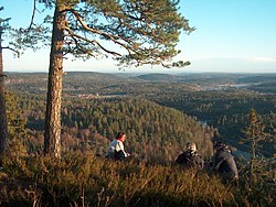 View of the forests and lakes of Andebu seen from Dalaåsen. Credit: Gunnar Gallis