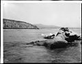 Capistrano Beach from the sea, c. 1900