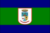 Flag of General Câmara