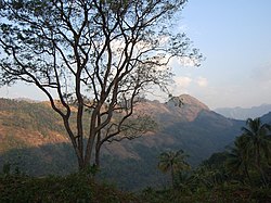 A view from Kaippally, the hilly region of Poonjar