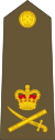 Lieutenant-general