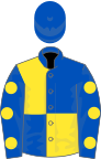 Royal Blue and Yellow Quartered, royal blue sleeves, yellow spots, royal blue cap