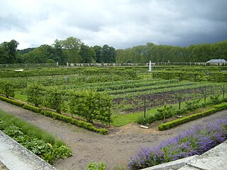 Grand Carré of the Potager