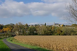 A general view of Saint-Michel-sur-Loire