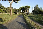 Roman road, trees and plants around