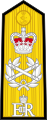 Royal Navy admiral of the fleet (shoulder board)