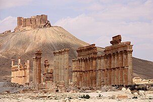 Did you know that the Camp of Diocletian at Palmyra, Syria served as the military headquarters for the Legio I Illyricorum?