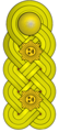 General de division (Venezuelan Army)[30]