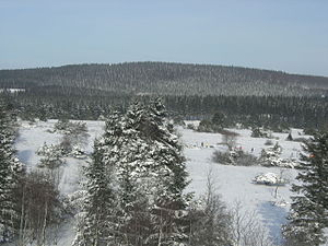 The Langenberg in winter seen from the Clemensberg