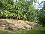 Ruins of stone stairway, carved stelae and surrounding jungle.