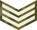 Sergeant (Nigerian Army)[70]
