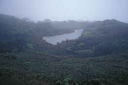 Violet Lake surrounded by ʻōhiʻa lehua trees on a foggy day