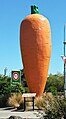 Ohakune carrot