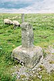 Image 23The Rere or Rey Cross on Stainmore (from History of Cumbria)