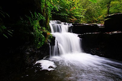 Waterfall in Judy Woods