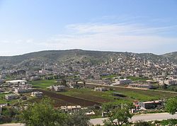 Qabatiya general view (Eastern field)