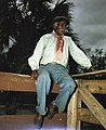 Color photo of Billy, circa 1949, photograph by Joseph Janney Steinmetz