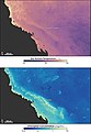 Image 30Sea temperature and bleaching of the Great Barrier Reef (from Environmental threats to the Great Barrier Reef)