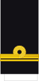 Teniente (Colombian Naval Infantry)[90]