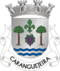 Coat of arms of Caranguejeira