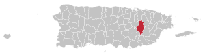 Map of Puerto Rico highlighting Caguas Municipality