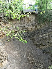 Einsturzdoline des Neuen Eisinger Lochs mit anstehendem Muschelkalk in der Dolinenwand, Enzkreis, Baden-Württemberg