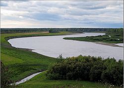 The Tura River near the selo of Kamenka in Tyumensky District