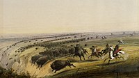 Hunting Buffalo, 1858-1860, Walters Art Museum