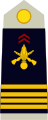 Commandant (French Army)[3]