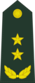 Lieutenant general