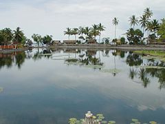 The Lotus lagoon