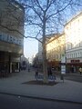 Beginning of Dachauer Straße in the city center