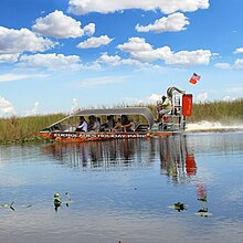 An airboat tour in Everglades Holiday Park