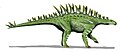 Huayangosaurus, China
